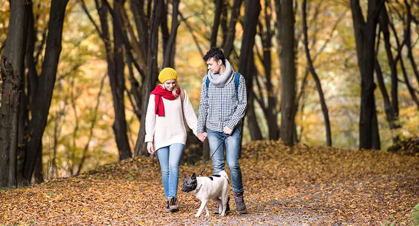  Couple walking with dog in the forest